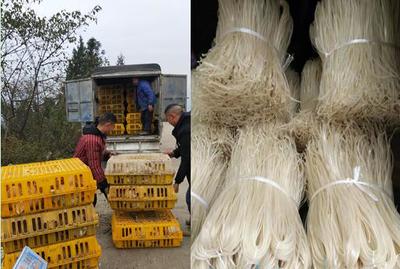 重庆中烟涪陵卷烟厂助销蒲板村农副产品，点亮乡村振兴之路