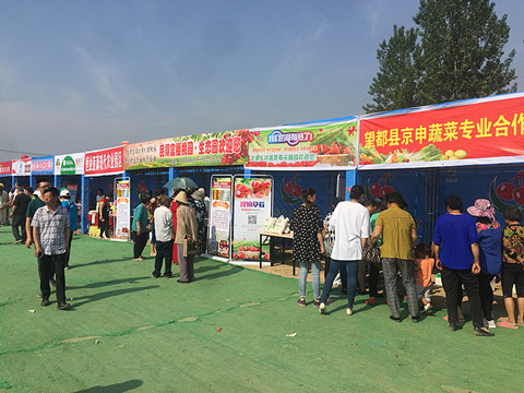 望都2017樱桃文化旅游节暨农副产品展销会拉开帷幕，助力地方特色食品销售