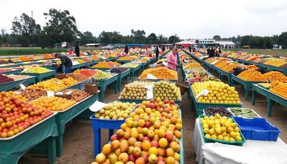 农副产品集市 连接田园与餐桌的绿色桥梁
