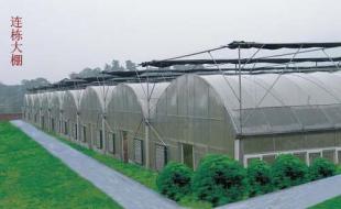 龙岩温室大棚 科技赋能农副产品，世界工厂网助力产业腾飞